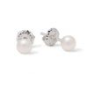 Claudia Bradby White Button Studs-0