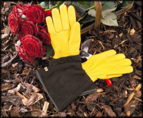 Gold Leaf Gardening Gloves Gents Tough Touch-0