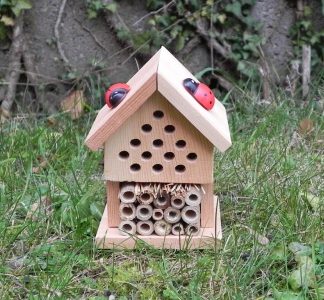 Apples to Pears - Make Your Own Insect House-0