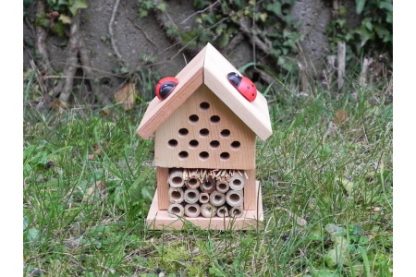 Apples to Pears - Make Your Own Insect House-0