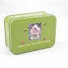 Apples to Pears - Make Your Own Insect House-10746