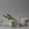 Skandinavisk Scented Candle - Ro (Ttranquility)-0