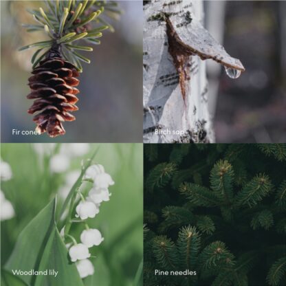 Skandinavisk Scent Diffuser - Skog - Image 3