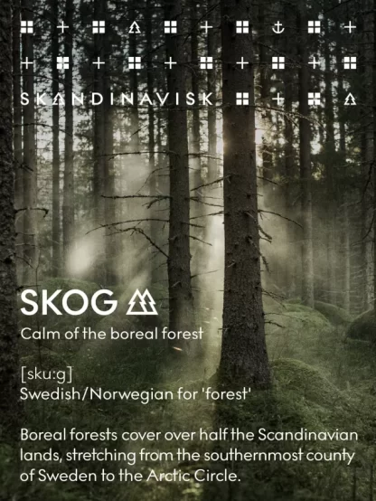 Skandinavisk Scent Diffuser - Skog - Image 7