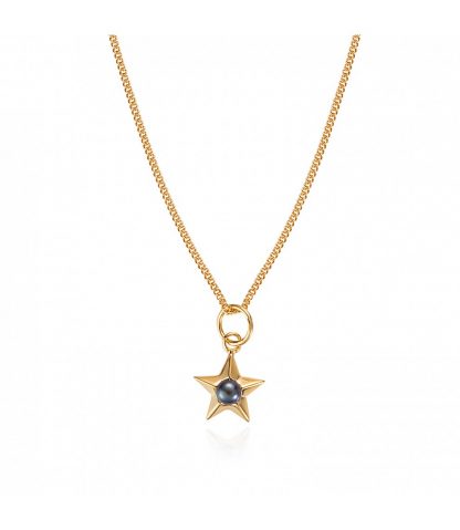 Claudia Bradby Star Necklace - Gold-11713