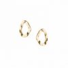 Tutti & Co Current Earrings Gold EA312G-0