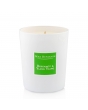 Max Benjamin Scented Candle - Bergamot & Ylang Ylang-0