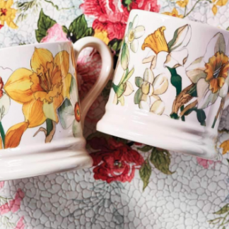 Emma Bridgewater Daffodils & Narcissus Set Of 2 1/2 Pint Mugs Boxed-0