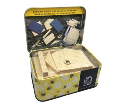 Gift in a tin Build a Bee Hotel - New 2020! - Image 3