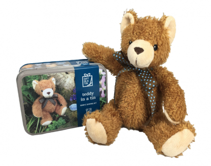 Gift in a tin Teddy in a Tin - Image 2