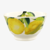 Emma Bridgewater Vegetable Garden Lemons Small Old Bowl - Image 2