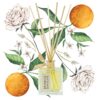 Branche d'Olive Room Diffuser Neroli 100ml - Image 3