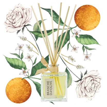 Branche d'Olive Room Diffuser Neroli Refill - Image 2