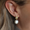 Tutti & Co Freshwater Pearl Earrings Gold - Image 3