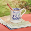 Emma Bridgewater Rainbow Toast True North 1/2 Pint Mug