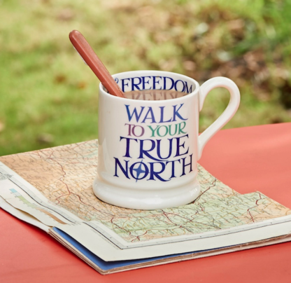 Emma Bridgewater Rainbow Toast True North 1/2 Pint Mug