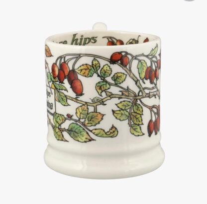 Emma Bridgewater Birds in The Hedgerow Rosehip and Robin 1/2 Pint Mug - Image 5