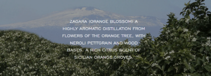 Ortigia Sicilia Zagara Liquid Soap - Image 2