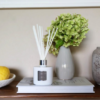 Max Benjamin Fragrance Diffuser - Italian Apothecary - Image 3
