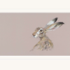 Nicky Litchfield Hermione Mounted Print - Image 2