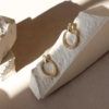 Tutti & Tempt Earrings Gold (EA530G) - Image 3
