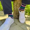 Swole Panda NAVY AND MULTICOLOUR FINE STRIPE BAMBOO SOCKS 7-11 - Image 3