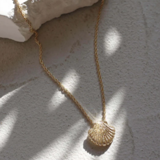 Tutti & Co Shell Necklace Gold (NE697G)