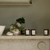 Plum & Ashby at Gifted Boston Spa