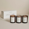Plum and Ashby Fresh Floral and Amber Votive Candle Trio Set