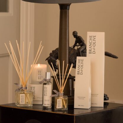 Branche D'Olive Feather Diffuser 100ml - Image 3