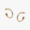 Tutti & Co Dew Earrings Gold (EA619G) - Image 2