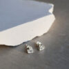 Tutti & Co Loyalty Earrings Silver (EA598S) - Image 3