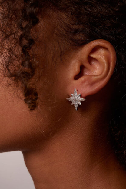 Tutti & Co Faith Earrings Silver