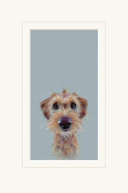 Nicky Lichfield Scruff Mounted Print