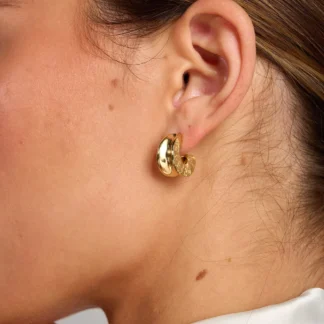 Tutti & Co Haven Earrings Gold (EA686G)