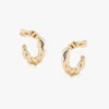Tutti & Co Isle Earrings Gold (EA681G)