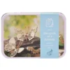 Gift in a Tin Life Cycle of a Butterfly