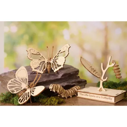 Gift in a Tin Life Cycle of a Butterfly - Image 2
