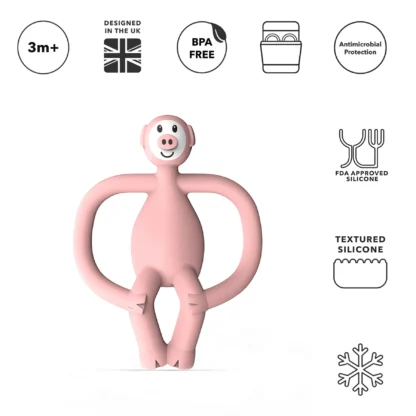 Matchstick Monkey Pickle Pig Teether - Image 3