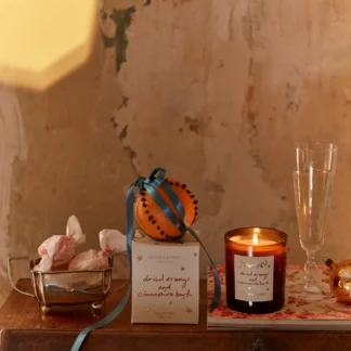 Plum and Ashby Dried Orange and Cinnamon Candle