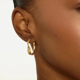 Tutti & Co Edge Earrings Gold