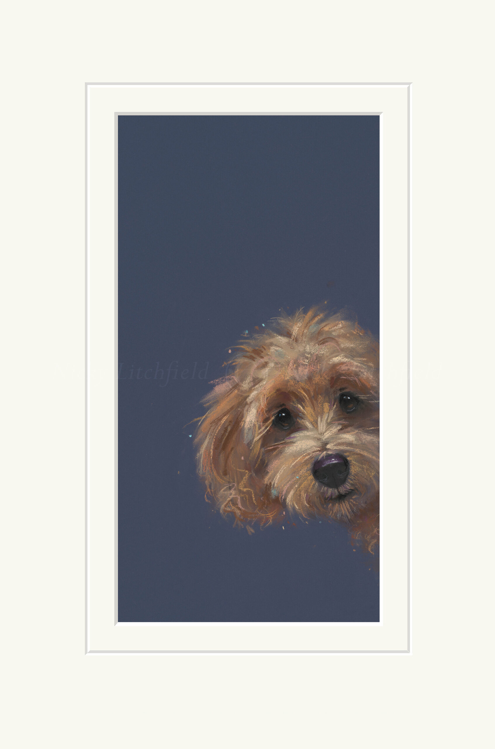 Nicky Litchfield SNEAKY PEAK Mounted Print