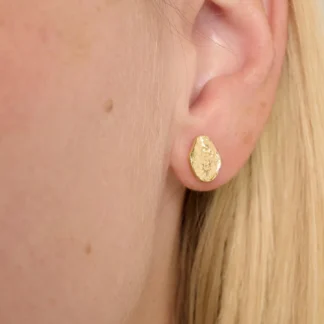 Tutti at Gifted Boston Spa - Diffuse Earrings Gold EA753G