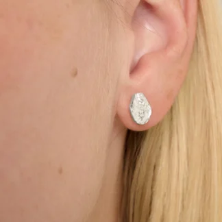 Tutti at Gifted Boston Spa - Diffuse Earrings Silver EA753S