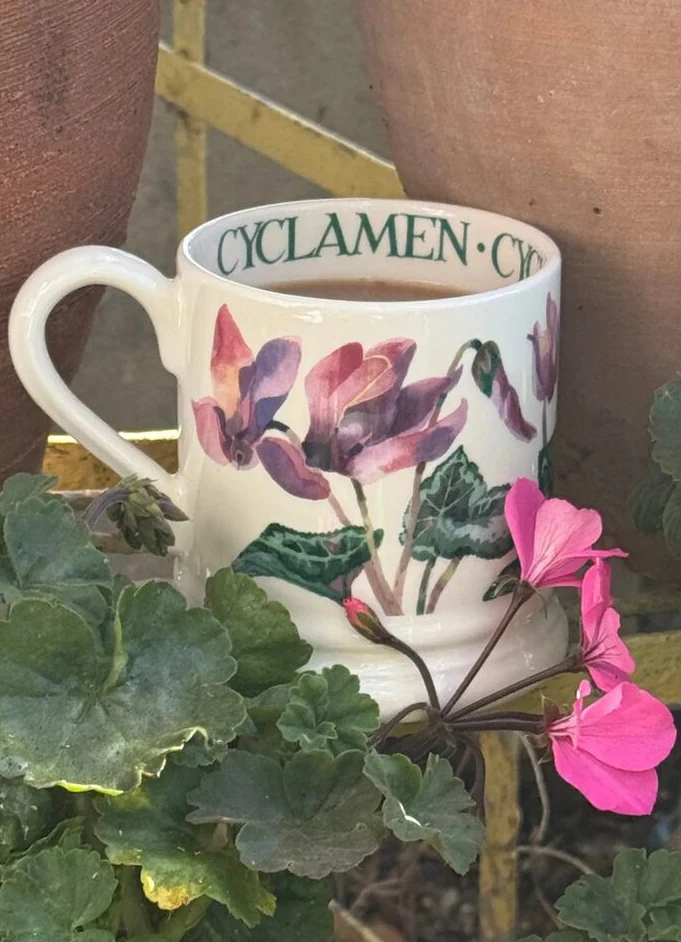 Emma Bridgewater Cyclamen 1/2 Pint Mug - Image 7