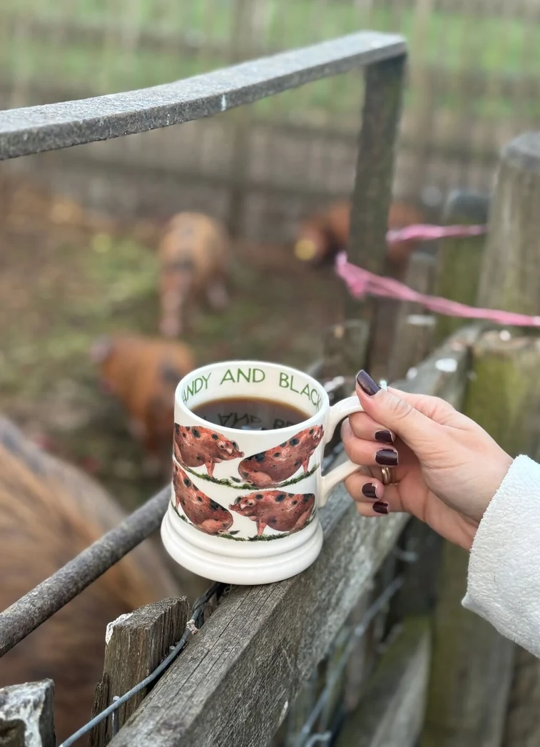 Emma Bridgewater Oxfordshire Sandy and Black Pig 1/2 Pint Mug - Image 6