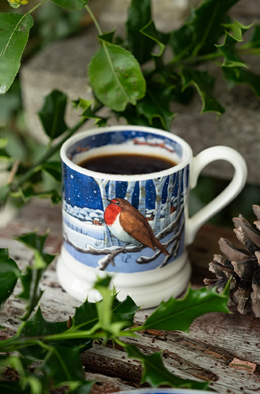 Emma Bridgewater at Gifted Boston Spa - Midnight Robin 1/2 Pint Mug
